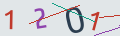 verifycode
